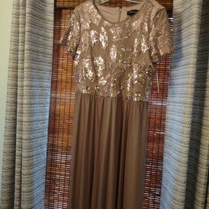 R&M Richards  - Power Mesh Sequin Maxi Dress
